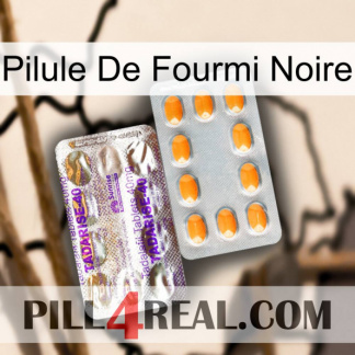 Black Ant Pill new12